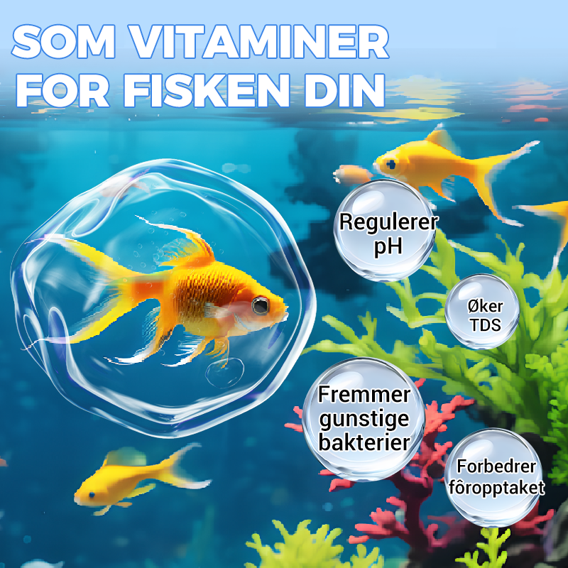 🔥KJØP 1 FÅ 1 GRATIS🔥Kraftig akvarium vannrensetablett