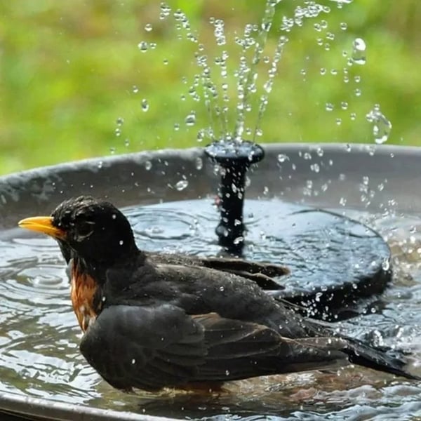 🔥Ekstraordinært tilbud – 48 % rabatt🔥🔥Solcelledrevne fuglevannskilder🐦️
