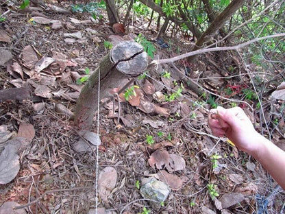 🔥 KJØP 2 FÅ 1 GRATIS! ⚡ Overlevelsesutstyr Rustfritt stålvaiersag – Lett, slitesterk og allsidig for utendørs bruk 🔥