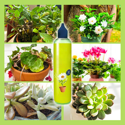 🌿【Plantenæring for alle typer innendørs og utendørs】—En flaske i hånden, verden er din!🌱🏡✨