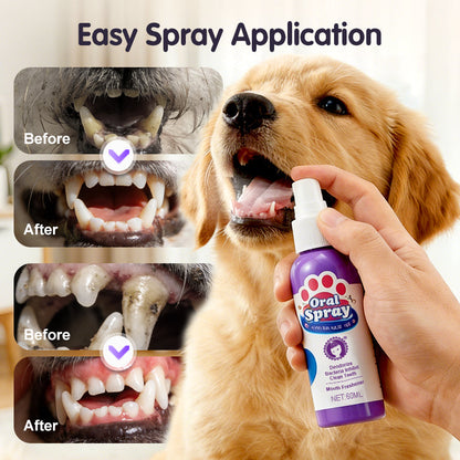 🔥Nyankomster i 2026: 48 % rabatt i en begrenset periode!🔥DentaClean tannrensespray for kjæledyr