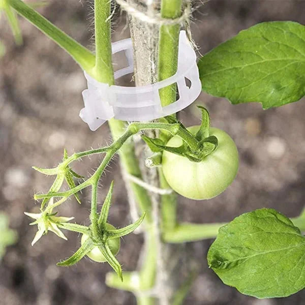 💥2026 Hot Sale 48% RABATT💥 Sikret plast planteklemme (KJØP 1 FÅ 1 GRATIS)