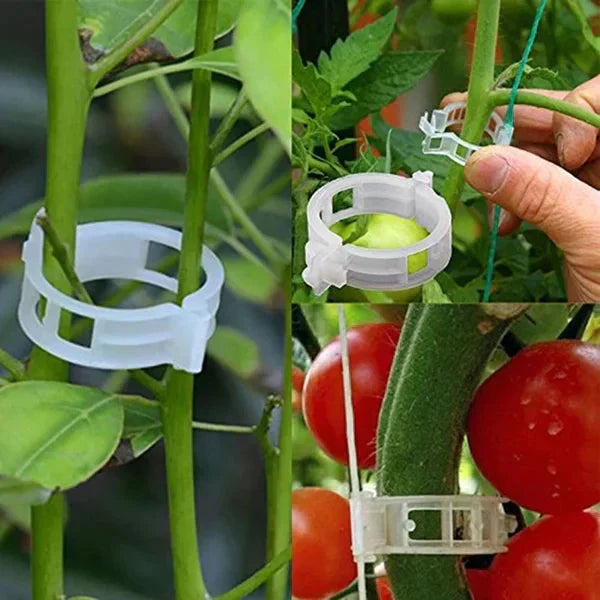💥2026 Hot Sale 48% RABATT💥 Sikret plast planteklemme (KJØP 1 FÅ 1 GRATIS)