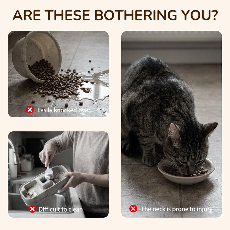 Hevet matskål for hund og katt med 3 skåler - sklisikker og stabil 🐾🥣