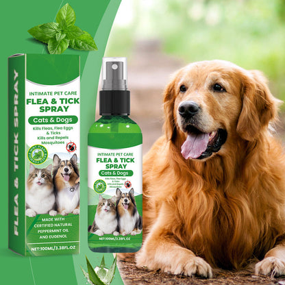 🍃Naturlig loppe- og flåttspray for hunder og katter🐾 Hold ditt kjære kjæledyr fritt for skadedyr