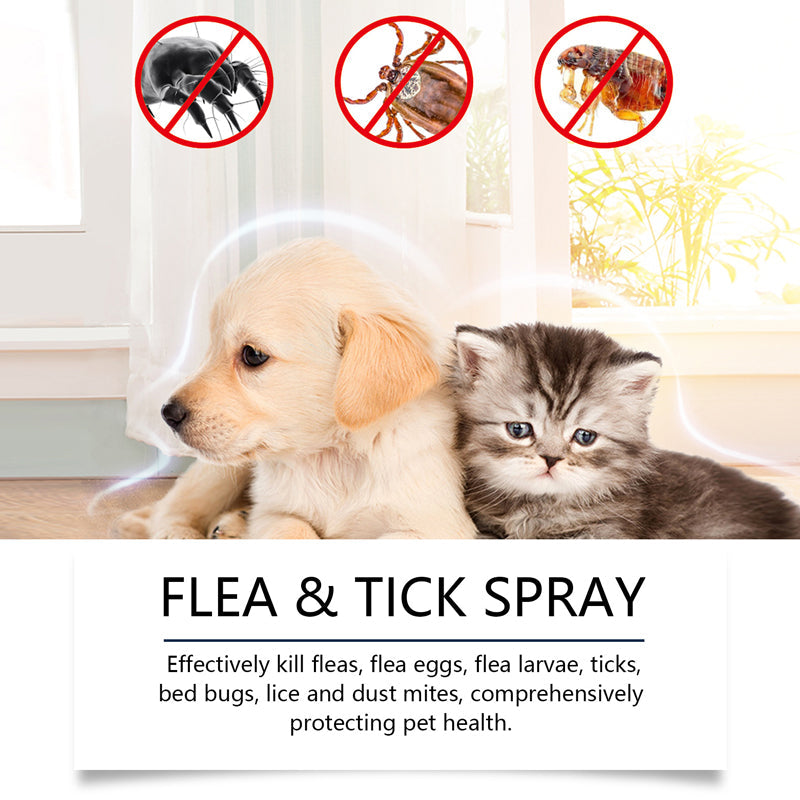 🍃Naturlig loppe- og flåttspray for hunder og katter🐾 Hold ditt kjære kjæledyr fritt for skadedyr