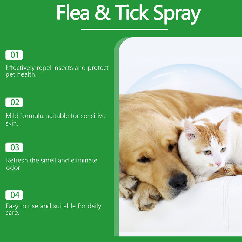 🍃Naturlig loppe- og flåttspray for hunder og katter🐾 Hold ditt kjære kjæledyr fritt for skadedyr