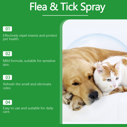 🍃Naturlig loppe- og flåttspray for hunder og katter🐾 Hold ditt kjære kjæledyr fritt for skadedyr