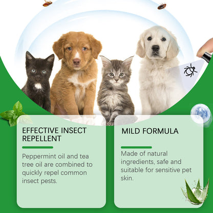 🍃Naturlig loppe- og flåttspray for hunder og katter🐾 Hold ditt kjære kjæledyr fritt for skadedyr