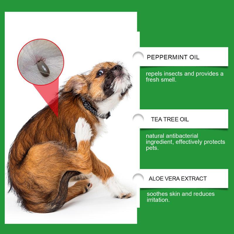 🍃Naturlig loppe- og flåttspray for hunder og katter🐾 Hold ditt kjære kjæledyr fritt for skadedyr