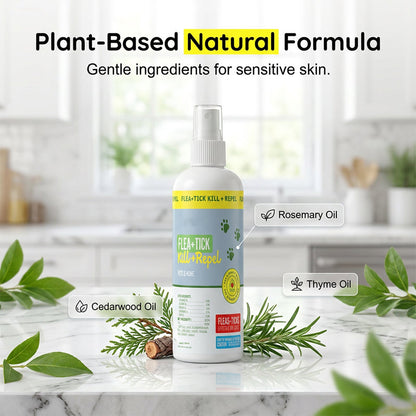 Naturlig loppe- og flåttavvisende spray for katter