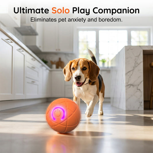 ⏰🔥BEGRENSET TID: 48% RABATT!🔥OVER 50 000 SOLGT! 🐾 AUTOMATISK SPRETTENDE SMART KJÆLEDYRBALL MED FJERNKONTROLL – 3 interaktive moduser | Tyggesikker E-TPU | USB-C-oppladbar 🎾