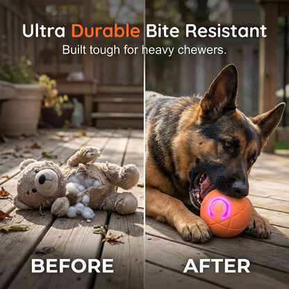⏰🔥BEGRENSET TID: 48% RABATT!🔥OVER 50 000 SOLGT! 🐾 AUTOMATISK SPRETTENDE SMART KJÆLEDYRBALL MED FJERNKONTROLL – 3 interaktive moduser | Tyggesikker E-TPU | USB-C-oppladbar 🎾