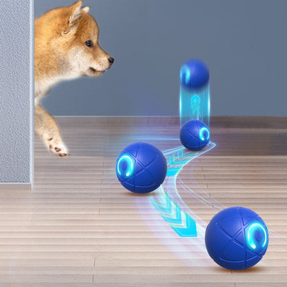 ⏰🔥BEGRENSET TID: 48% RABATT!🔥OVER 50 000 SOLGT! 🐾 AUTOMATISK SPRETTENDE SMART KJÆLEDYRBALL MED FJERNKONTROLL – 3 interaktive moduser | Tyggesikker E-TPU | USB-C-oppladbar 🎾