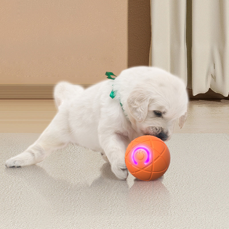 ⏰🔥BEGRENSET TID: 48% RABATT!🔥OVER 50 000 SOLGT! 🐾 AUTOMATISK SPRETTENDE SMART KJÆLEDYRBALL MED FJERNKONTROLL – 3 interaktive moduser | Tyggesikker E-TPU | USB-C-oppladbar 🎾