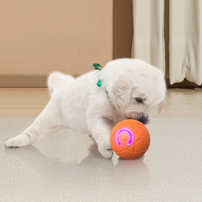 ⏰🔥BEGRENSET TID: 48% RABATT!🔥OVER 50 000 SOLGT! 🐾 AUTOMATISK SPRETTENDE SMART KJÆLEDYRBALL MED FJERNKONTROLL – 3 interaktive moduser | Tyggesikker E-TPU | USB-C-oppladbar 🎾