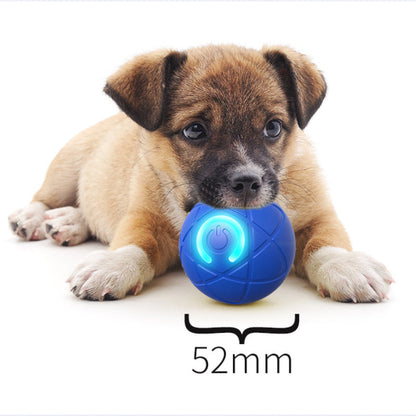 ⏰🔥BEGRENSET TID: 48% RABATT!🔥OVER 50 000 SOLGT! 🐾 AUTOMATISK SPRETTENDE SMART KJÆLEDYRBALL MED FJERNKONTROLL – 3 interaktive moduser | Tyggesikker E-TPU | USB-C-oppladbar 🎾
