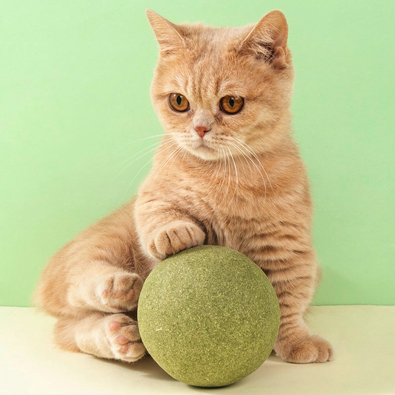 🐱50 % RABATT NÅ! Stor 10 cm naturlig kattemynteball, gigantisk tyggeleke for katter, interaktiv mintleke for innekatter og kattunger, stresslindring og tannrengjøring