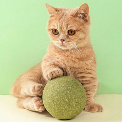 🐱50 % RABATT NÅ! Stor 10 cm naturlig kattemynteball, gigantisk tyggeleke for katter, interaktiv mintleke for innekatter og kattunger, stresslindring og tannrengjøring