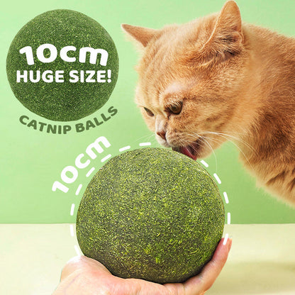 🐱50 % RABATT NÅ! Stor 10 cm naturlig kattemynteball, gigantisk tyggeleke for katter, interaktiv mintleke for innekatter og kattunger, stresslindring og tannrengjøring