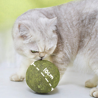 🐱50 % RABATT NÅ! Stor 10 cm naturlig kattemynteball, gigantisk tyggeleke for katter, interaktiv mintleke for innekatter og kattunger, stresslindring og tannrengjøring