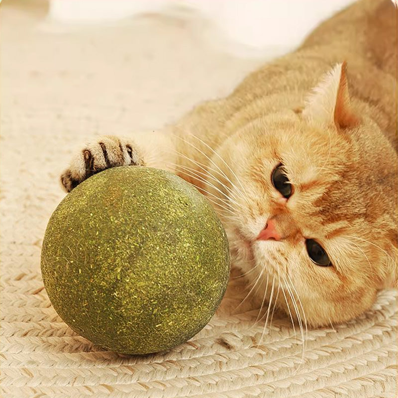 🐱50 % RABATT NÅ! Stor 10 cm naturlig kattemynteball, gigantisk tyggeleke for katter, interaktiv mintleke for innekatter og kattunger, stresslindring og tannrengjøring
