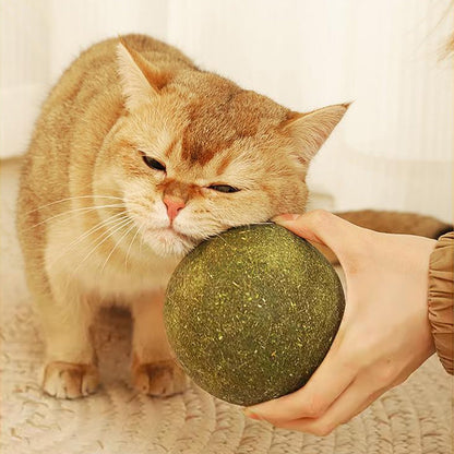 🐱50 % RABATT NÅ! Stor 10 cm naturlig kattemynteball, gigantisk tyggeleke for katter, interaktiv mintleke for innekatter og kattunger, stresslindring og tannrengjøring