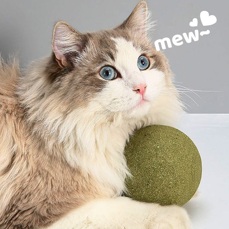 🐱50 % RABATT NÅ! Stor 10 cm naturlig kattemynteball, gigantisk tyggeleke for katter, interaktiv mintleke for innekatter og kattunger, stresslindring og tannrengjøring