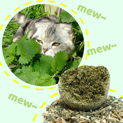 🐱50 % RABATT NÅ! Stor 10 cm naturlig kattemynteball, gigantisk tyggeleke for katter, interaktiv mintleke for innekatter og kattunger, stresslindring og tannrengjøring