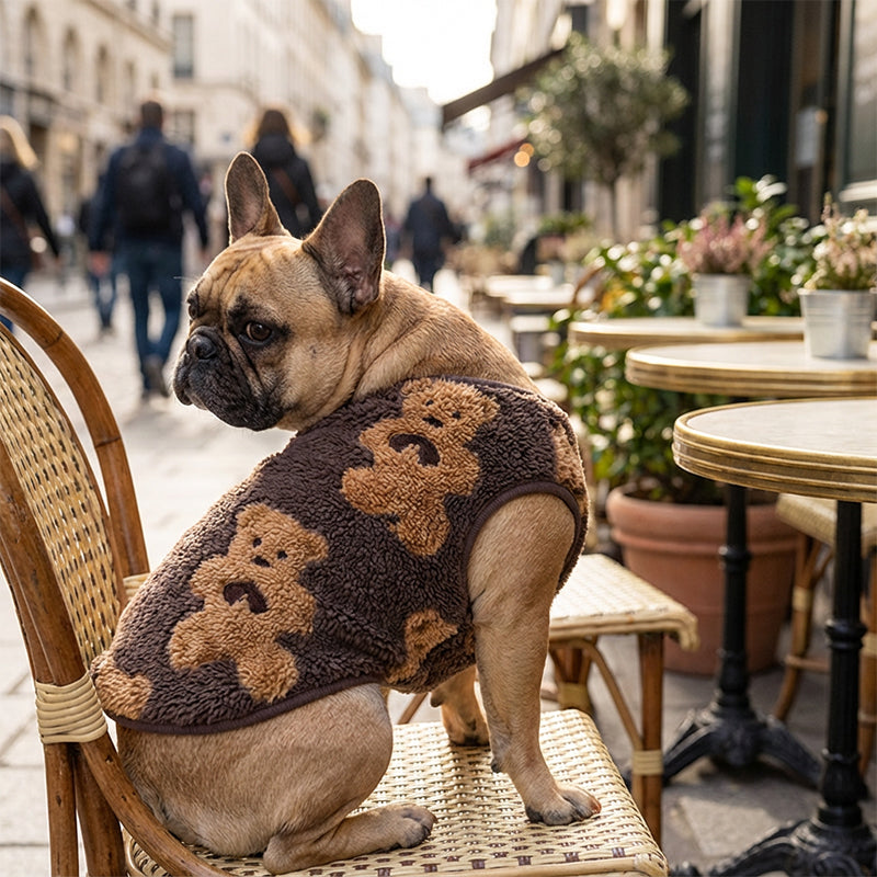 ⏳Begrenset tidsbegrenset 50 % rabatt⏰Søt plysjfôret kjæledyrvest🐶🧥
