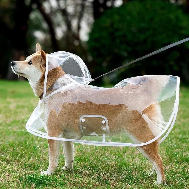📢 Nyheter – 50 % RABATT 🐕 Gjennomsiktig vanntett regnjakke for hund – hold hunden tørr og synlig på regnværsturer 🌧️