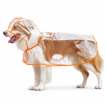 📢 Nyheter – 50 % RABATT 🐕 Gjennomsiktig vanntett regnjakke for hund – hold hunden tørr og synlig på regnværsturer 🌧️