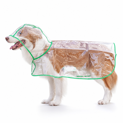 📢 Nyheter – 50 % RABATT 🐕 Gjennomsiktig vanntett regnjakke for hund – hold hunden tørr og synlig på regnværsturer 🌧️