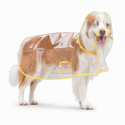 📢 Nyheter – 50 % RABATT 🐕 Gjennomsiktig vanntett regnjakke for hund – hold hunden tørr og synlig på regnværsturer 🌧️