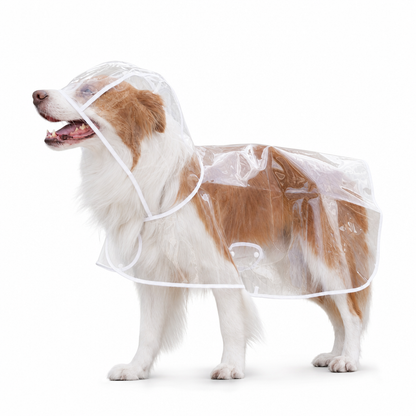 📢 Nyheter – 50 % RABATT 🐕 Gjennomsiktig vanntett regnjakke for hund – hold hunden tørr og synlig på regnværsturer 🌧️