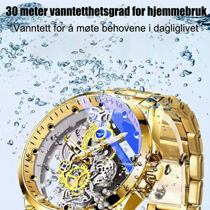 ⏳Kun for en kort tid – 50% RABATT ⏰Populære automatiske turbilhorn-ur i dobbeltsidig skjelettdesign med ikke-mekanisk bevegelse (50% rabatt under Double Eleven-arrangementet!!!)